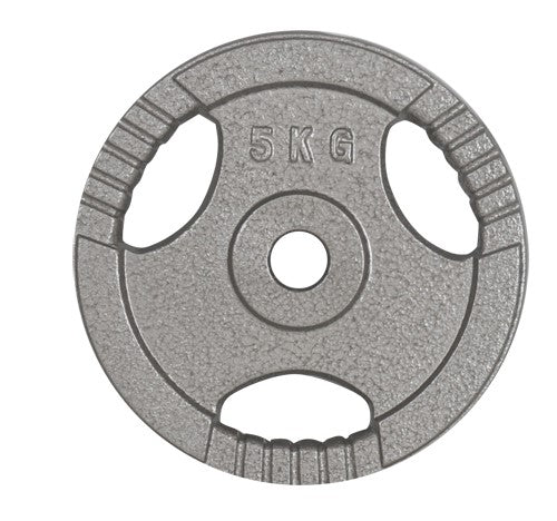 5kg Standard Size Cast Iron Weight Plate with Grip
