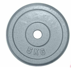 5kg Standard Size Cast Iron Weight Plate with NO Grip