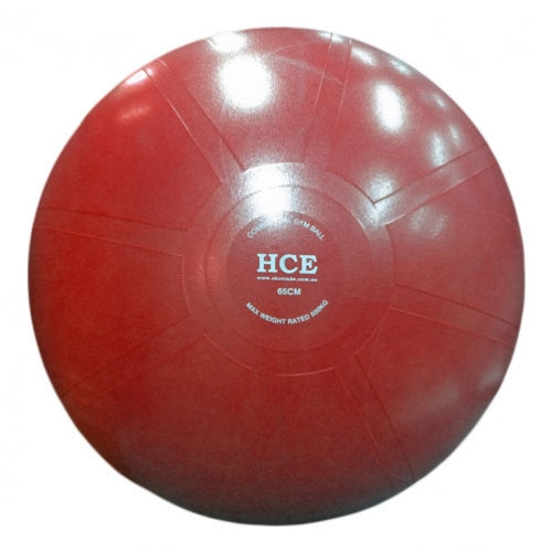 55cm Commercial Gym Ball / Swiss Ball with Pump
