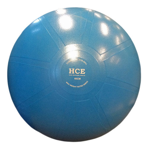 65cm Commercial Gym Ball / Swiss Ball with Pump